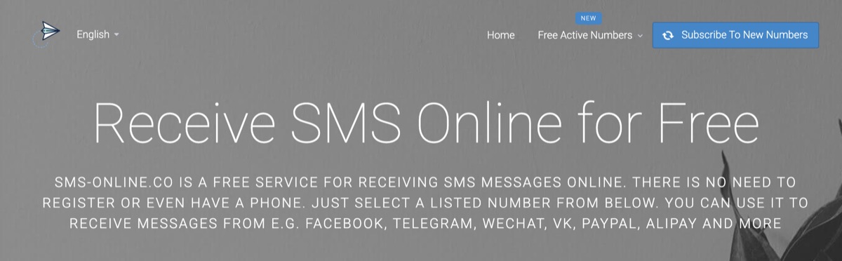 SMS-Online.co 官网页面截图